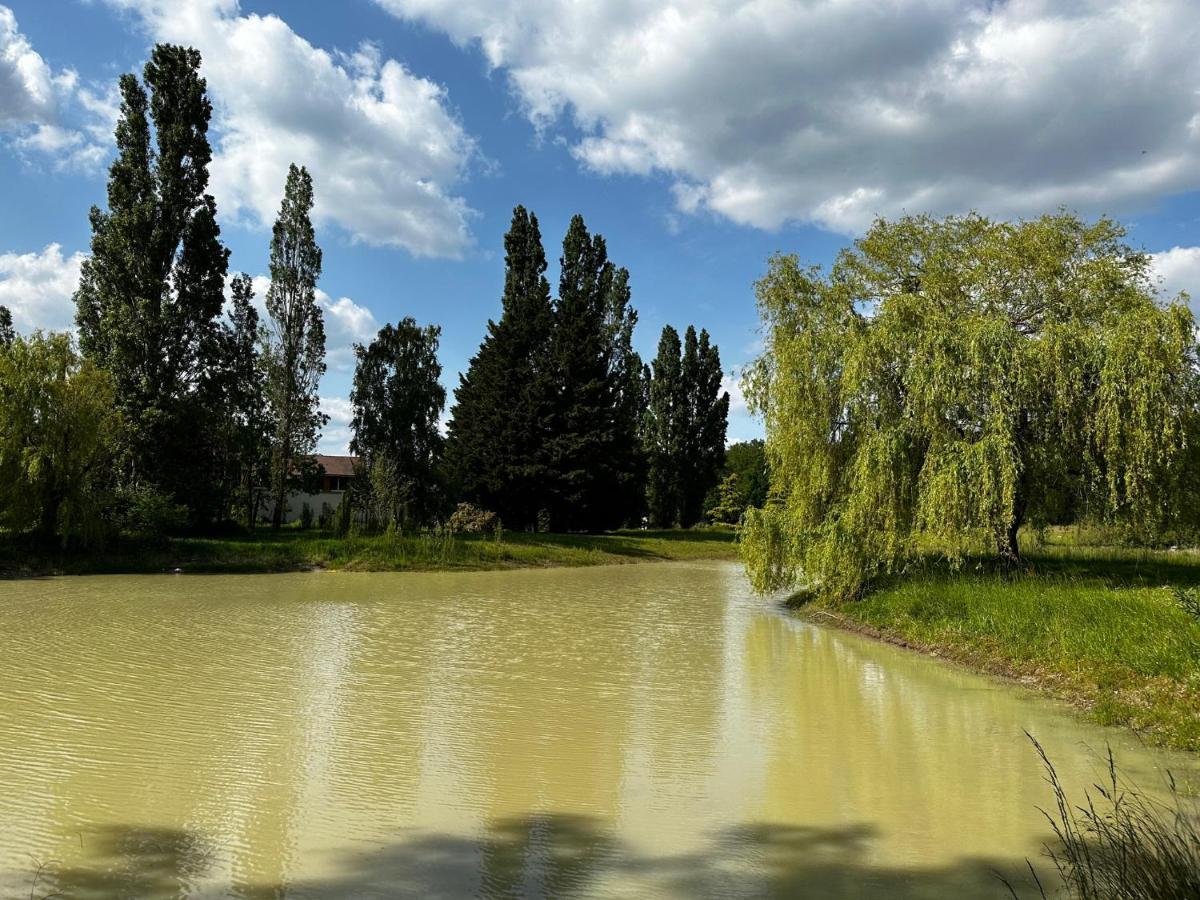 Domaine De Couilleuse Hotel Saint-Laurent-Nouan Luaran gambar