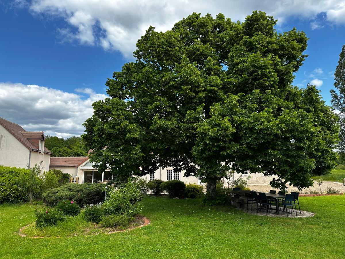 Domaine De Couilleuse Hotel Saint-Laurent-Nouan Luaran gambar